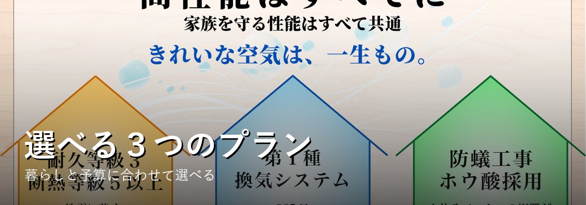 選べる３つのプラン